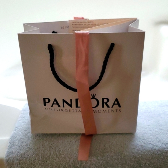 Pandora Moments Necklace - Picture 8 of 8